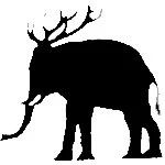 Disco Hirsch